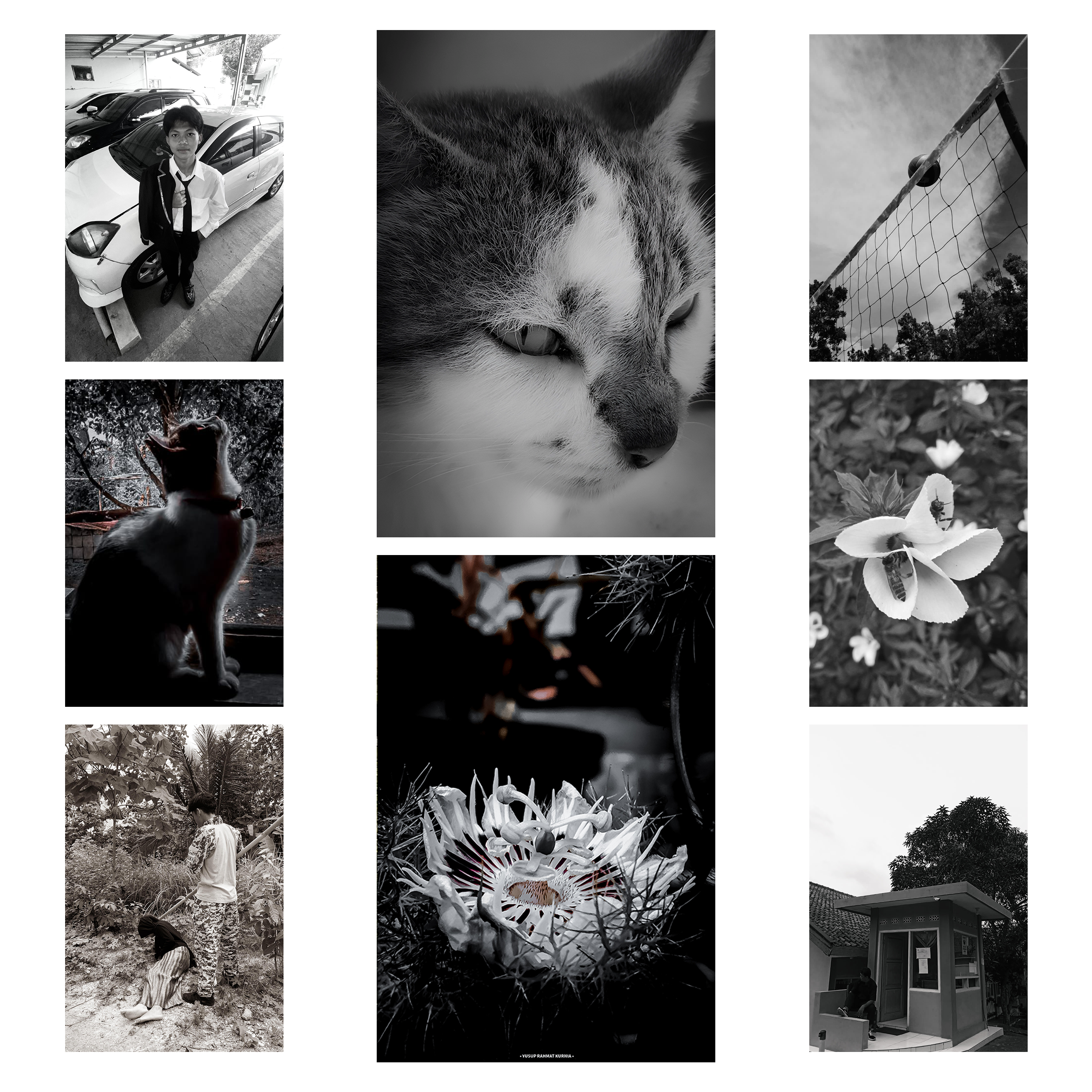 Fotografi Black & White 2024